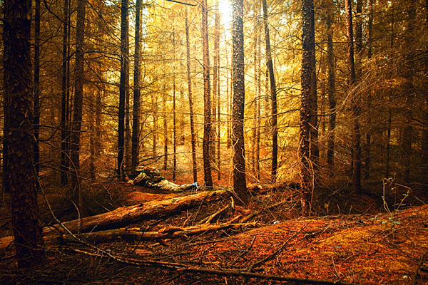 Photograph Marko Radovanovic Hidden All Day on One Eyeland